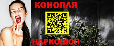 прущие грибы Можга