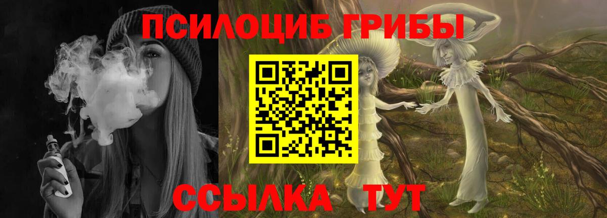 Звенигород  Галлюциногенные грибы GOLDEN TEACHER  купить   Псилоцибиновые грибы Psilocybine cubensis  Вход с VPN 